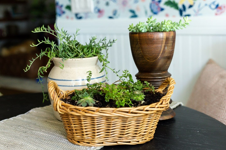 A small wicker basket and two different colored ceramic vases sit on a table. Each is filled with soil and plants.