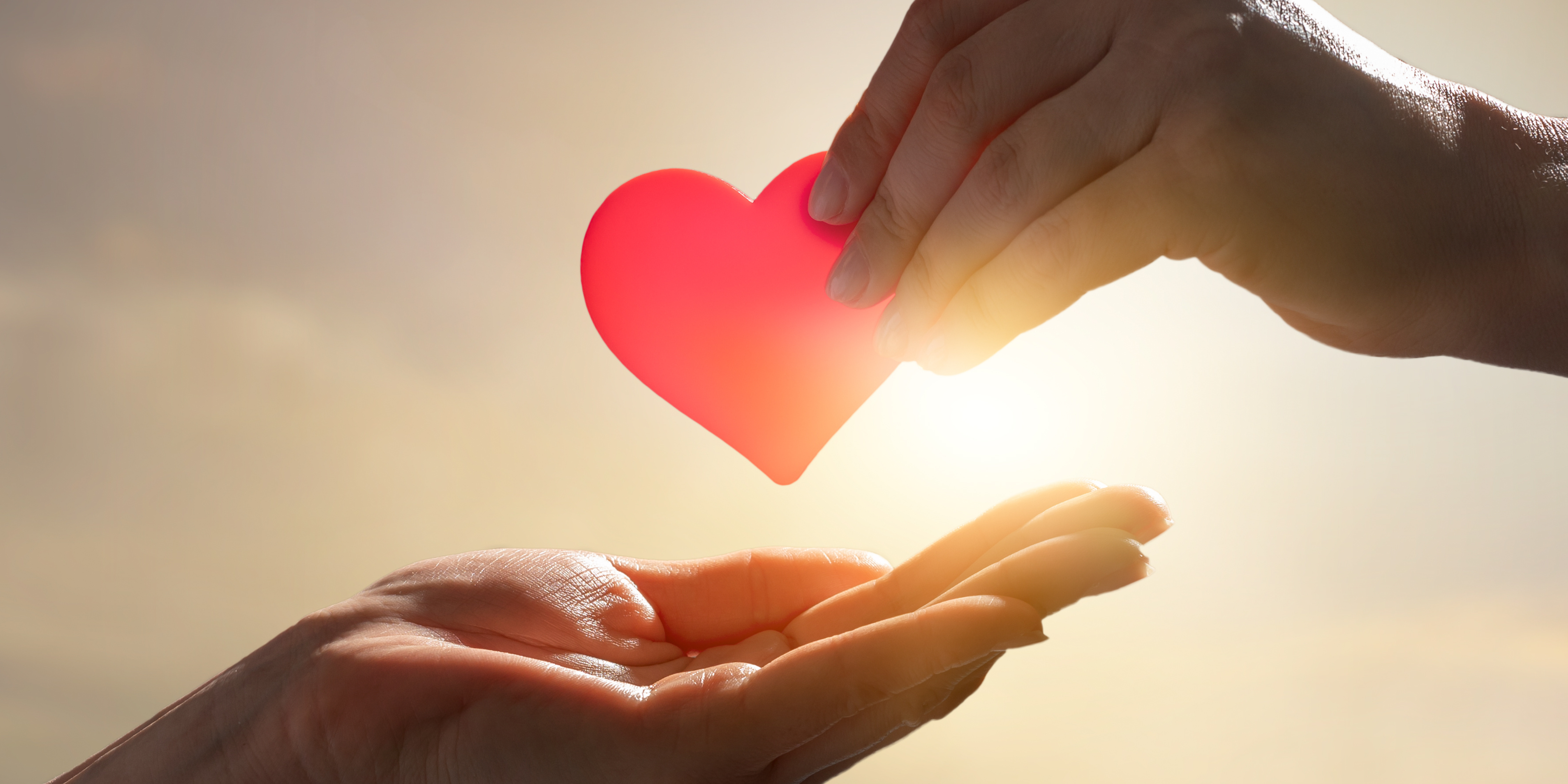 SVdPLA Blog for NL-9