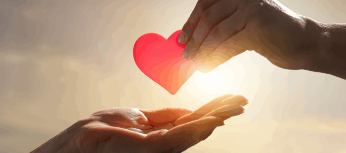 SVdPLA Blog for NL-9